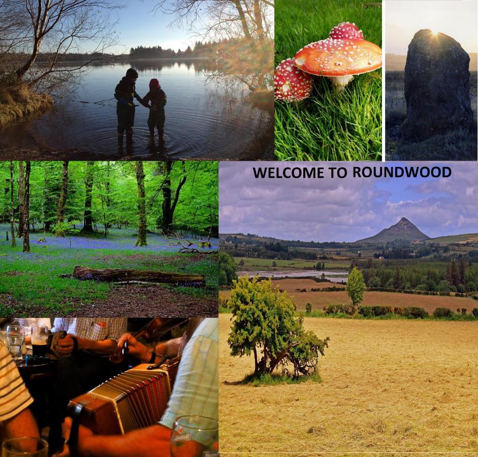 Glendalough Scenery Farmhouse Roundwood Ngoại thất bức ảnh